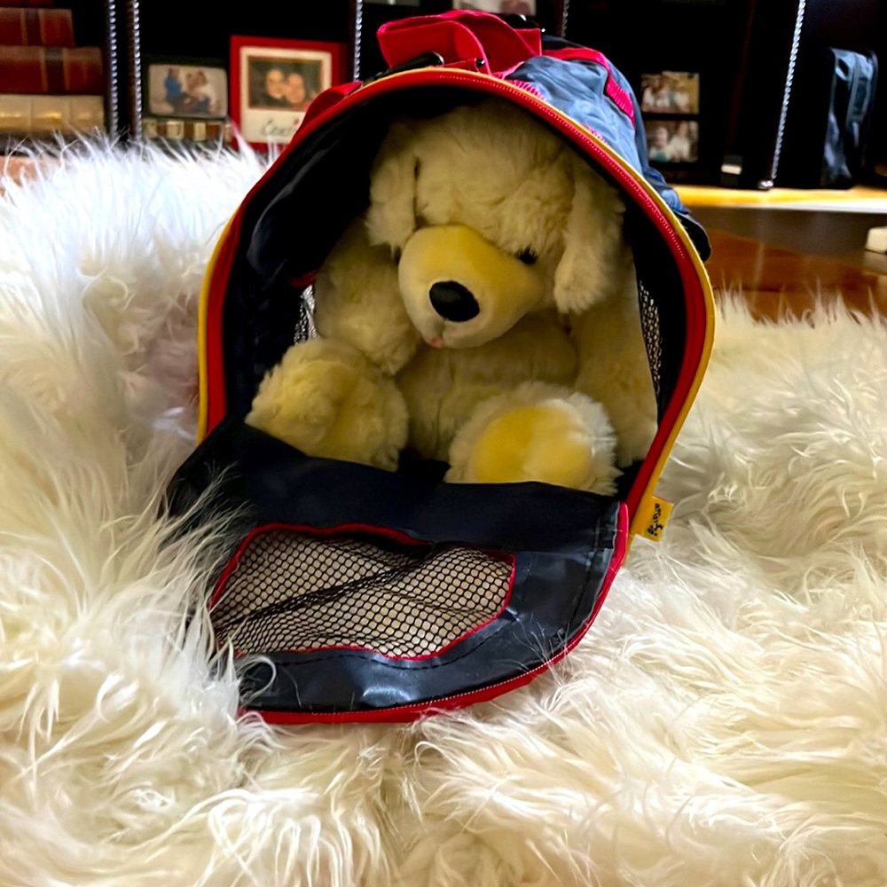Build a bear dog carrier with dog